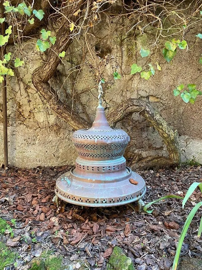 Trastevere Oasi Garden Apartment - Roma